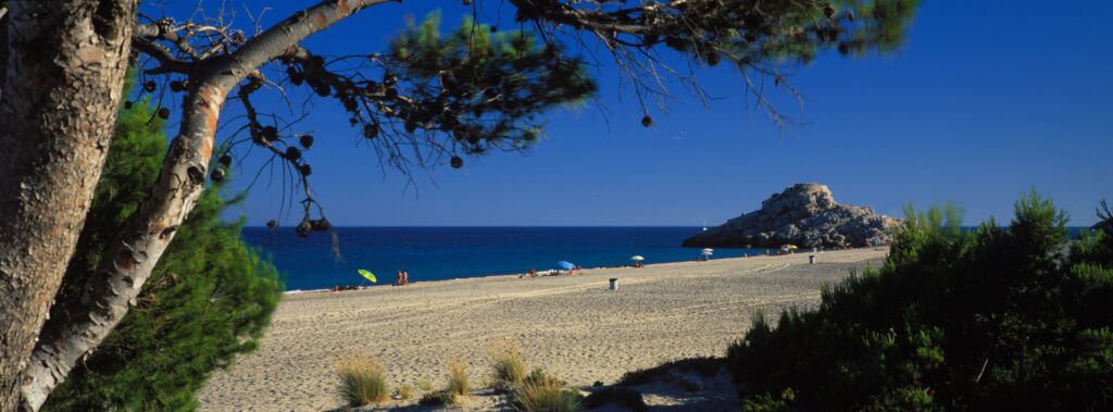 Una playa de arena con poca gente, sombrillas y una colina rocosa cerca de la orilla. Las ramas de los pinos enmarcan el primer plano, con un cielo azul claro y un mar en calma al fondo.