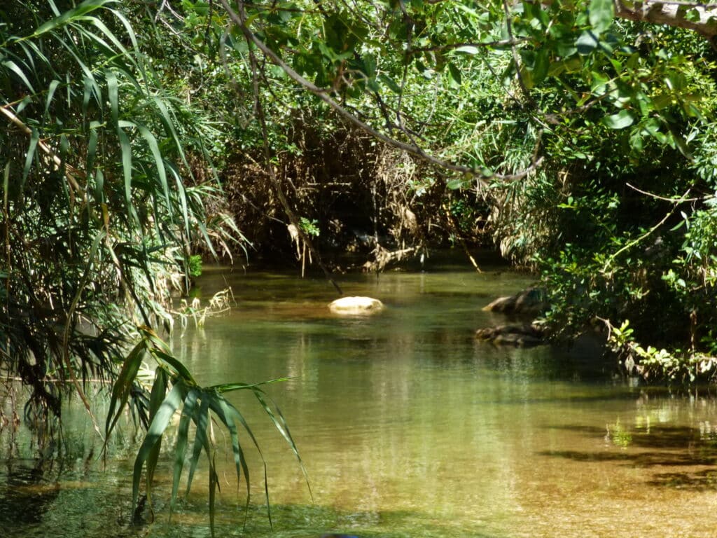 Río Mundo en Aýna, Albacete. Por VEOy.com