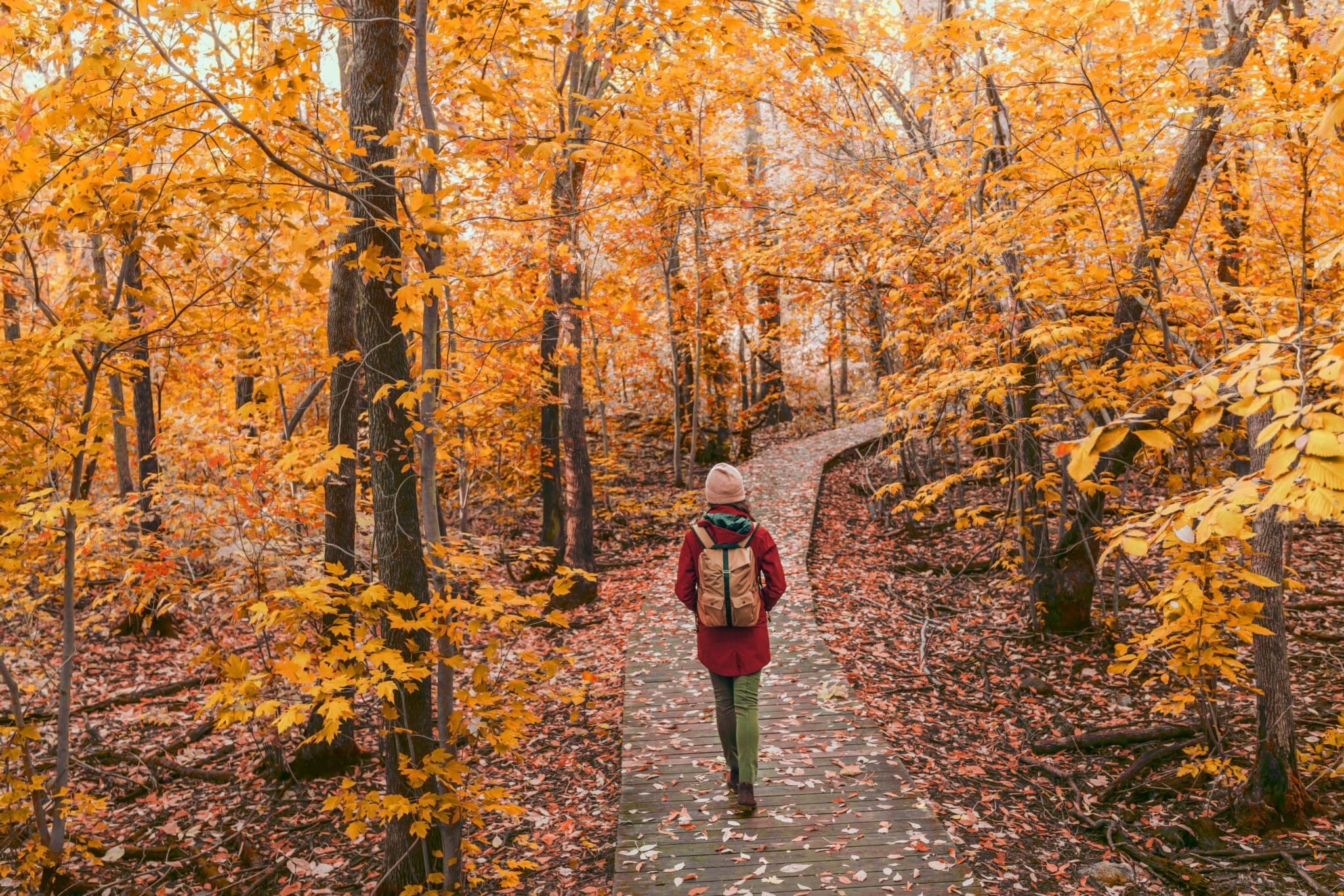 🍁 Planes baratos (y gratis) en octubre: castañas, bosques y algún que otro susto