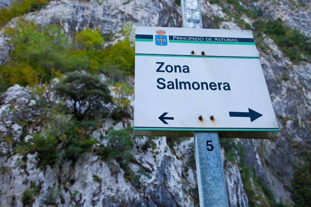 Cartel de "zona salmonera" en el río Cares, en Poncebos (Asturias). Por JUAN CARLOS MUNOZ
