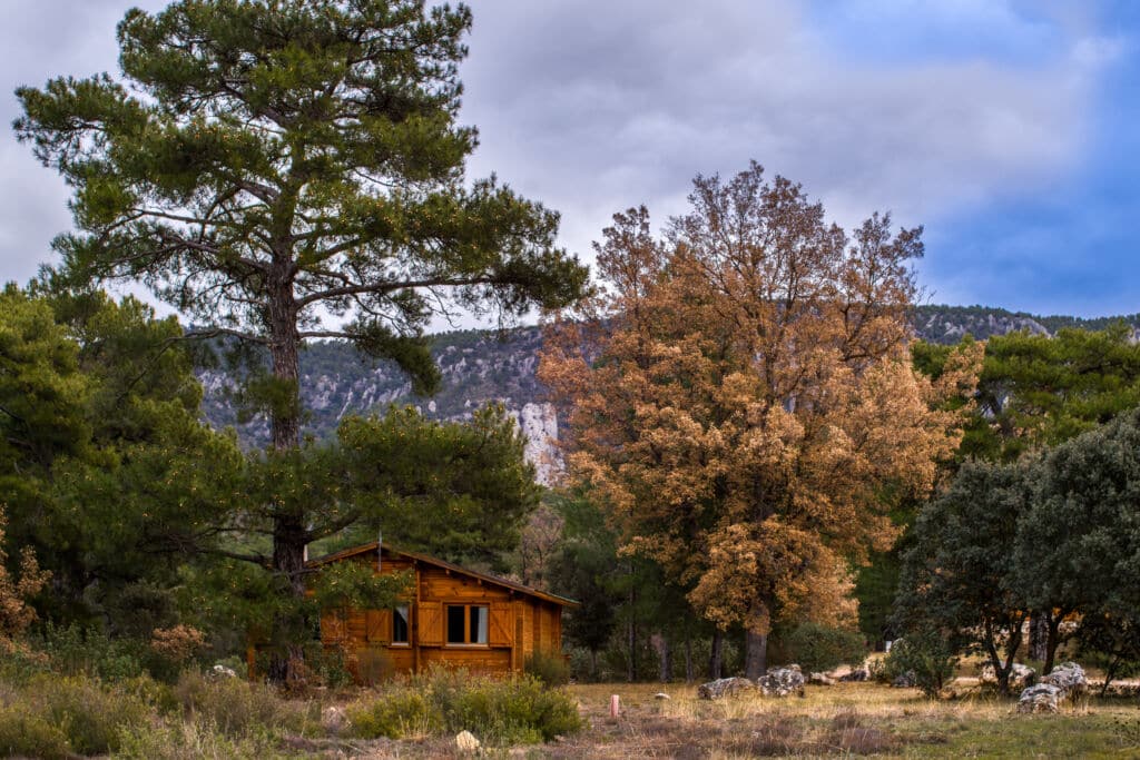 Cabañas Llano de los Conejos (Cuenca)