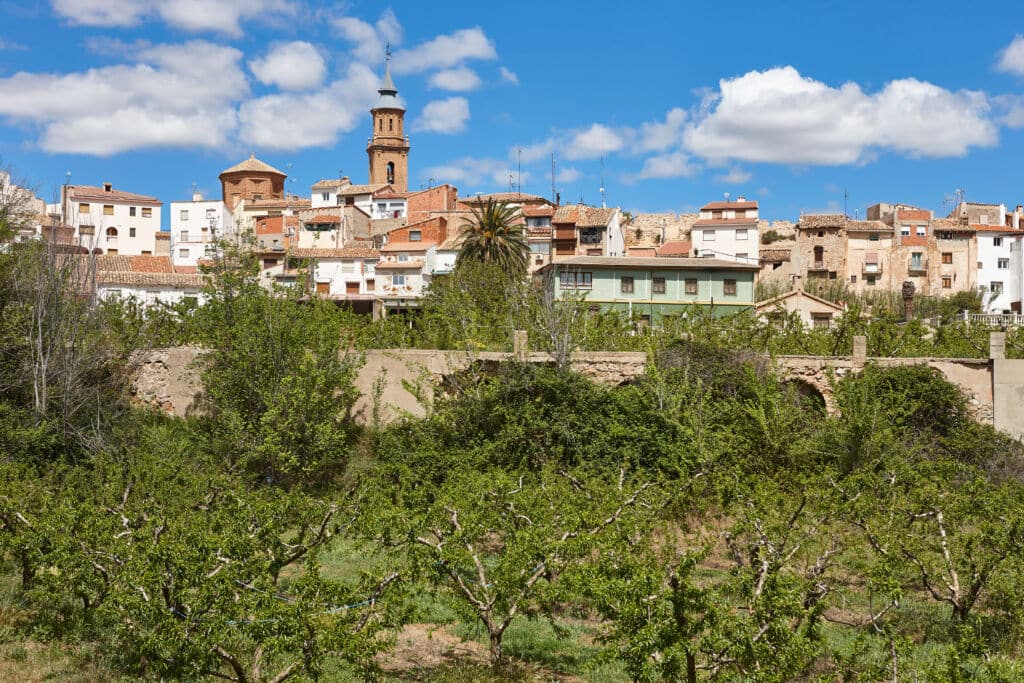 Vista de Calanda (Teruel), con la torre del templo del Pilar.