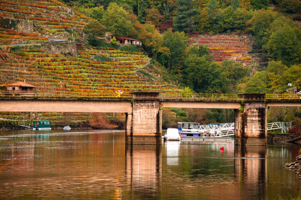 Belesar, Ribeira Sacra (Lugo) en otoño. Por Emilio Romanos