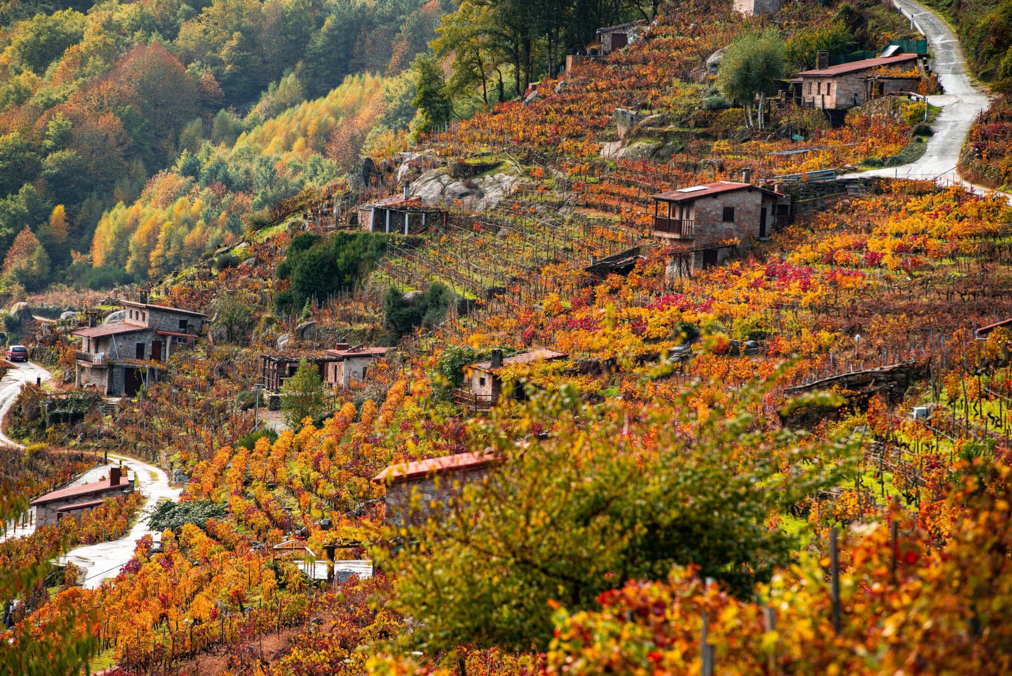 Ribeira Sacra, en Lugo, en otoño. Por Emilio Romanos
