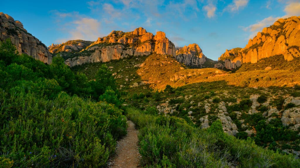 Un estrecho sendero de tierra conduce hacia las escarpadas cimas de las montañas, bañadas por la luz del sol en la hora dorada.