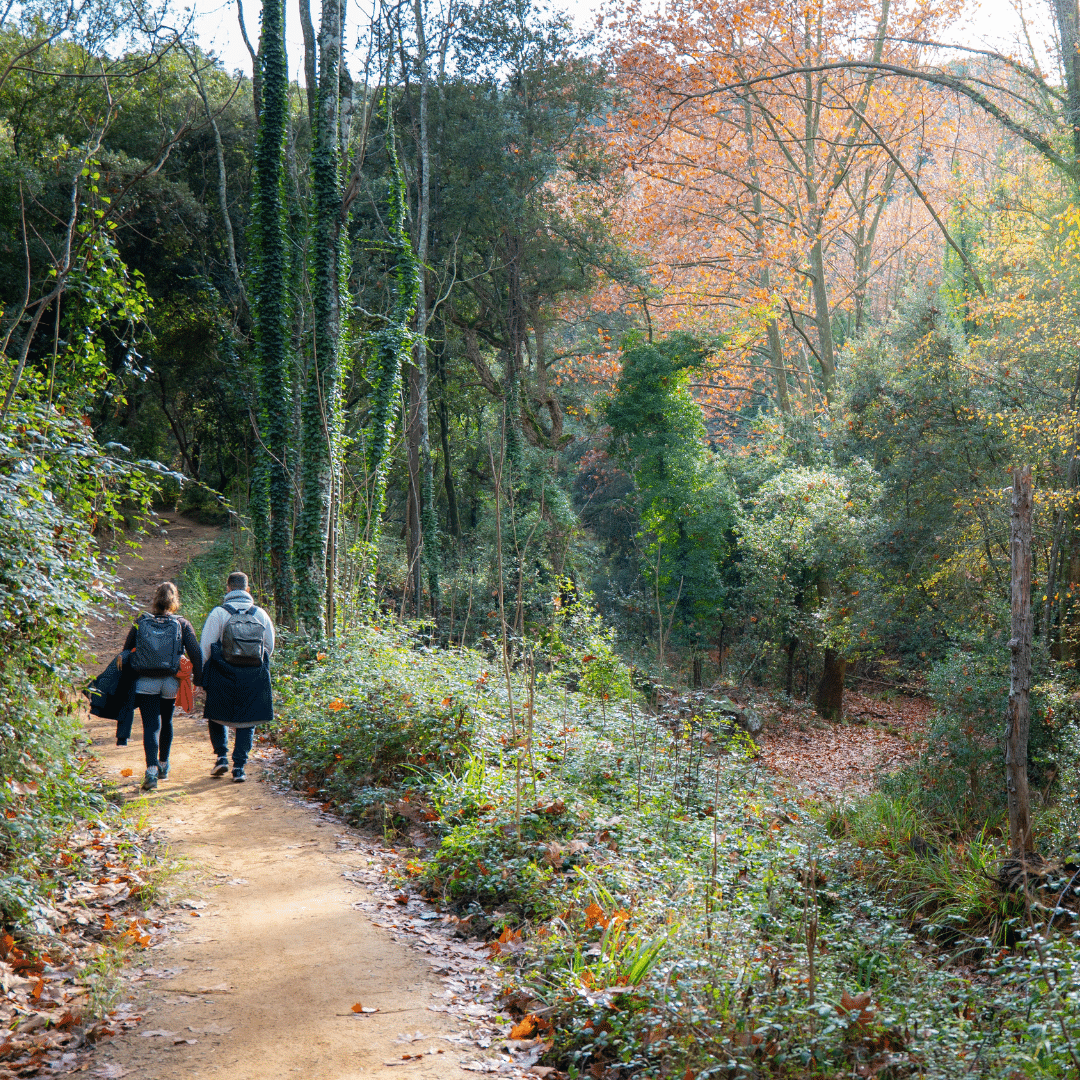 Dos personas con mochilas caminan por un sendero rural de tierra que atraviesa un bosque con follaje otoñal en la Comunitat Valenciana.