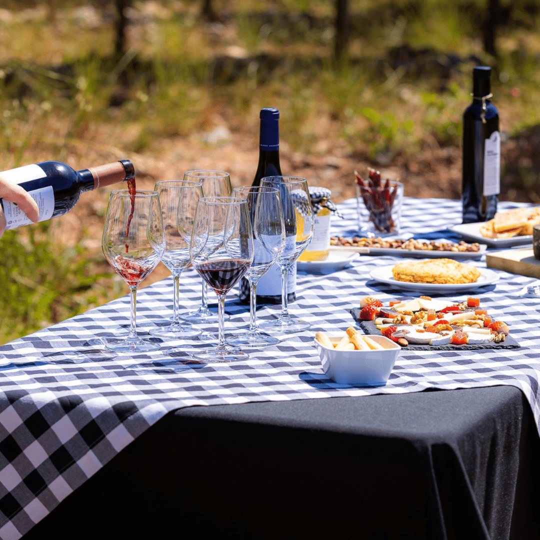 Una mano sirve vino tinto en una copa sobre una mesa en la que hay botellas de vino, queso y galletas saladas, sobre un mantel a cuadros, durante un verano en el campo de la Comunitat Valenciana.