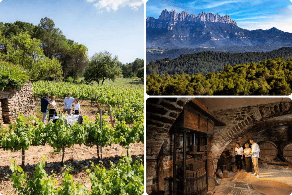 Un collage en el que se ve a gente cenando en un viñedo, una vista de montañas escarpadas que se alzan sobre un bosque y personas visitando una bodega histórica de piedra con barricas de vino.