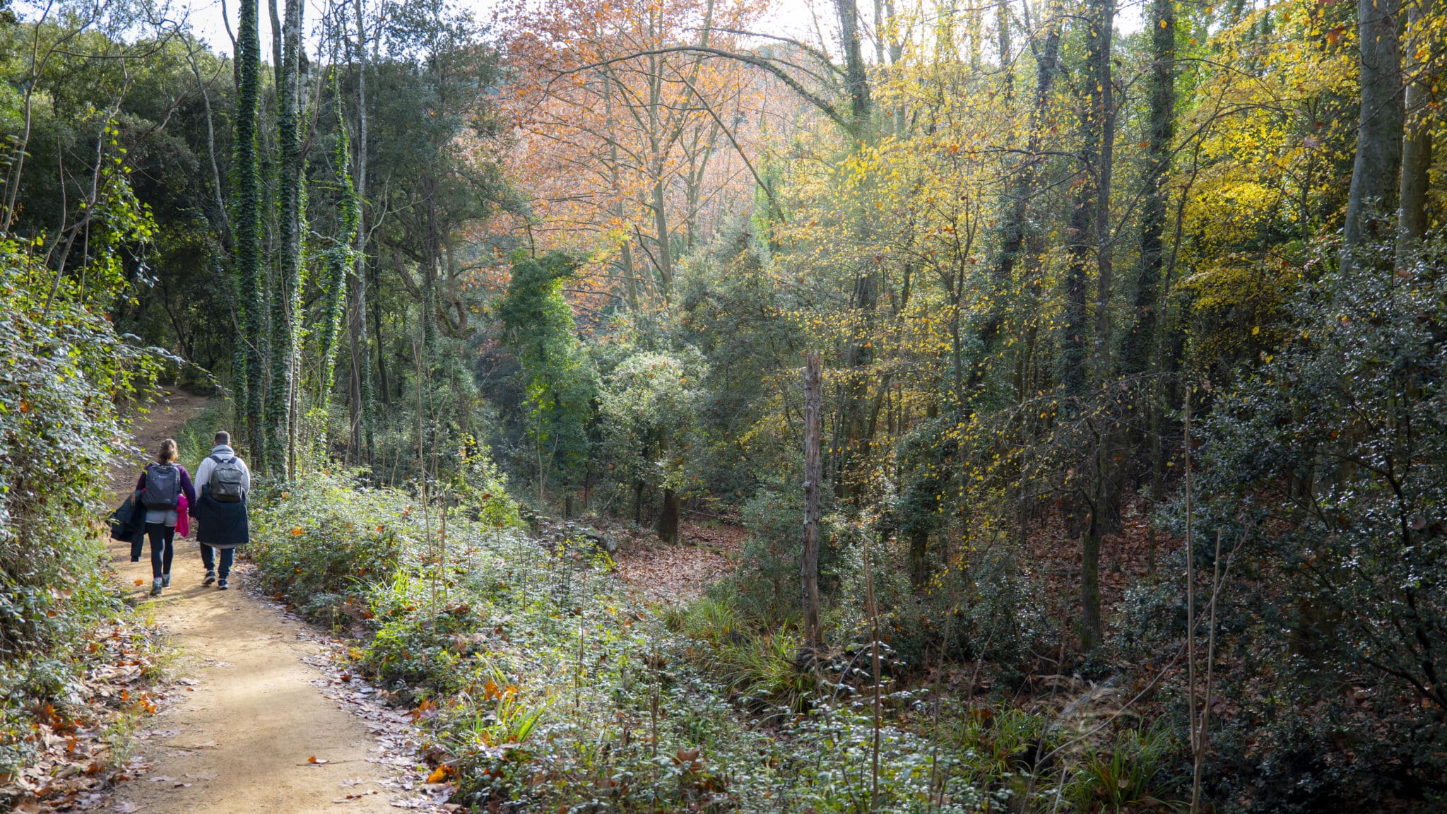 Descubre a pie las comarcas de Barcelona: las rutas otoñales más espectaculares