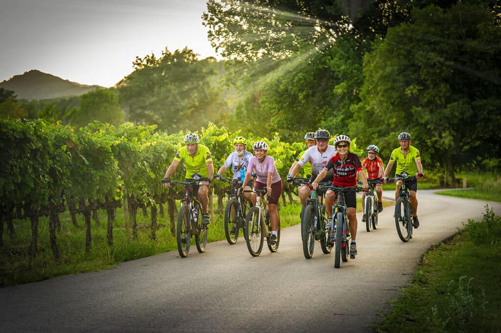 Un grupo de ciclistas que pedalean por un camino asfaltado junto a un viñedo al atardecer.
