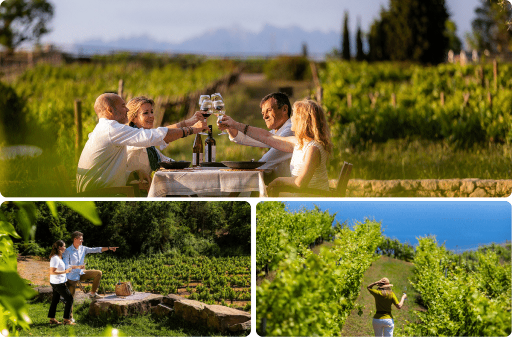 Un collage de tres imágenes: dos parejas brindando con vino en una mesa al aire libre, una pareja disfrutando de un picnic en un viñedo y una mujer paseando entre las hileras de parras.