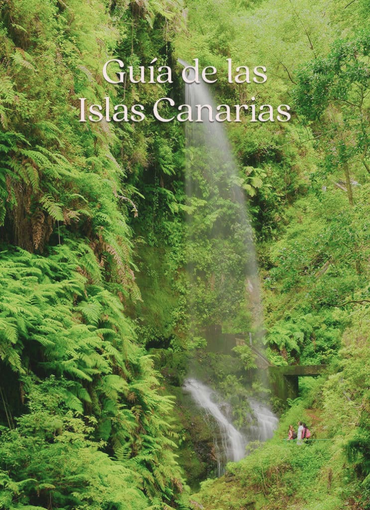 Guía de primavera de las Islas Canarias