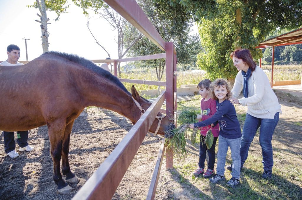 Animales en Pineda de Mar