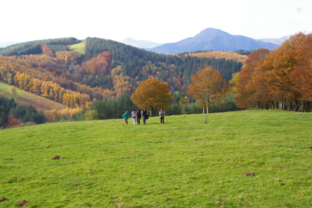 Agroturismo Pagorriaga