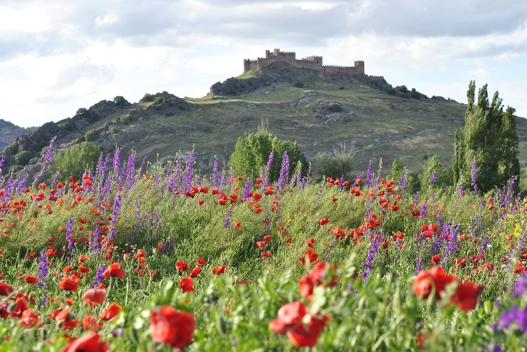 Castillo de la Riba