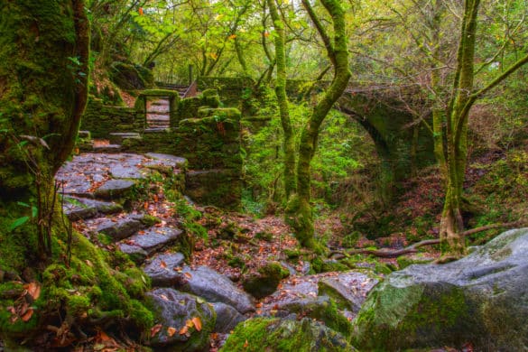 Senderismo en bosques encantados: leyendas y misterio