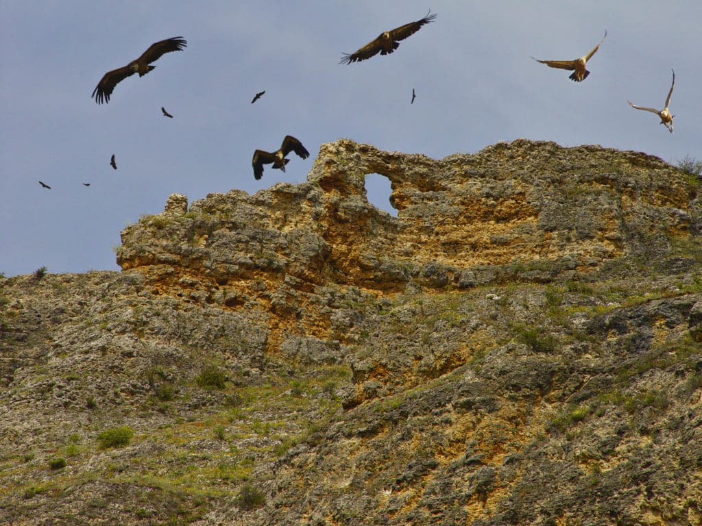 Hoces del río Duratón