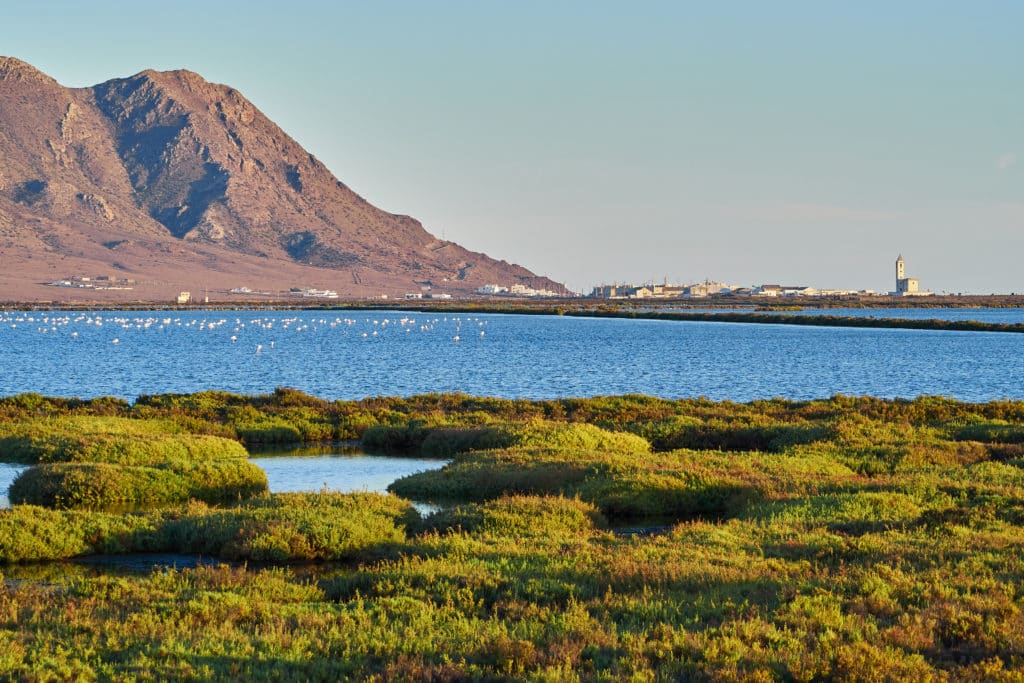 Salinas del Cabo de Gata