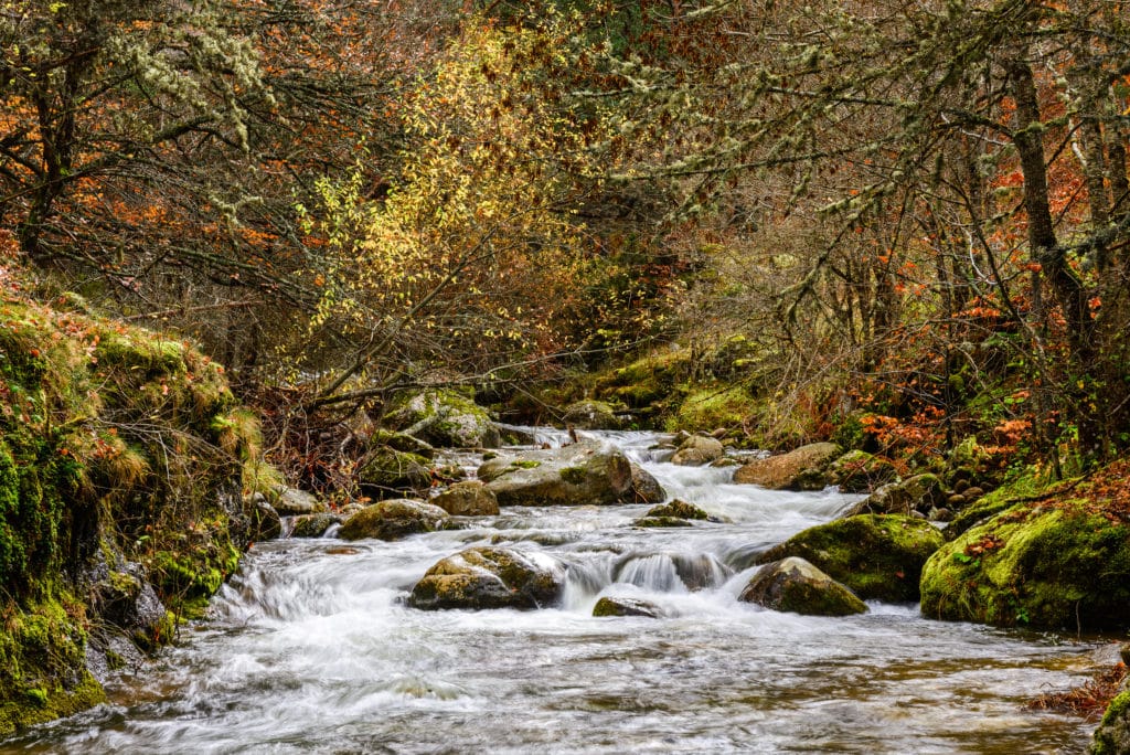 Parque Natural Sierra Cebollera