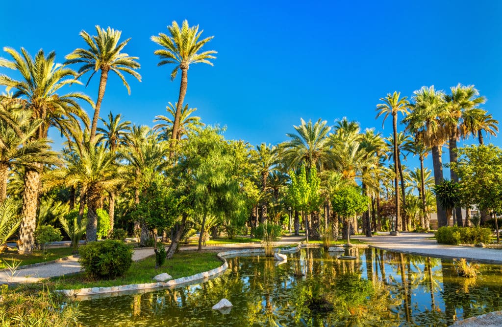 Palmeral de Elche, uno de los lugares visitados por Sissi Emperatriz en España