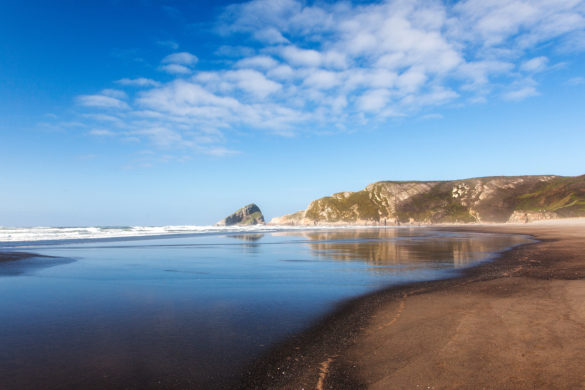 6 playas para perros en Asturias