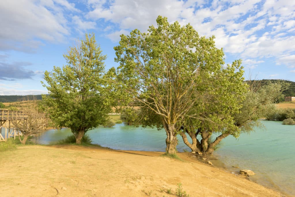 Playa de Navarra