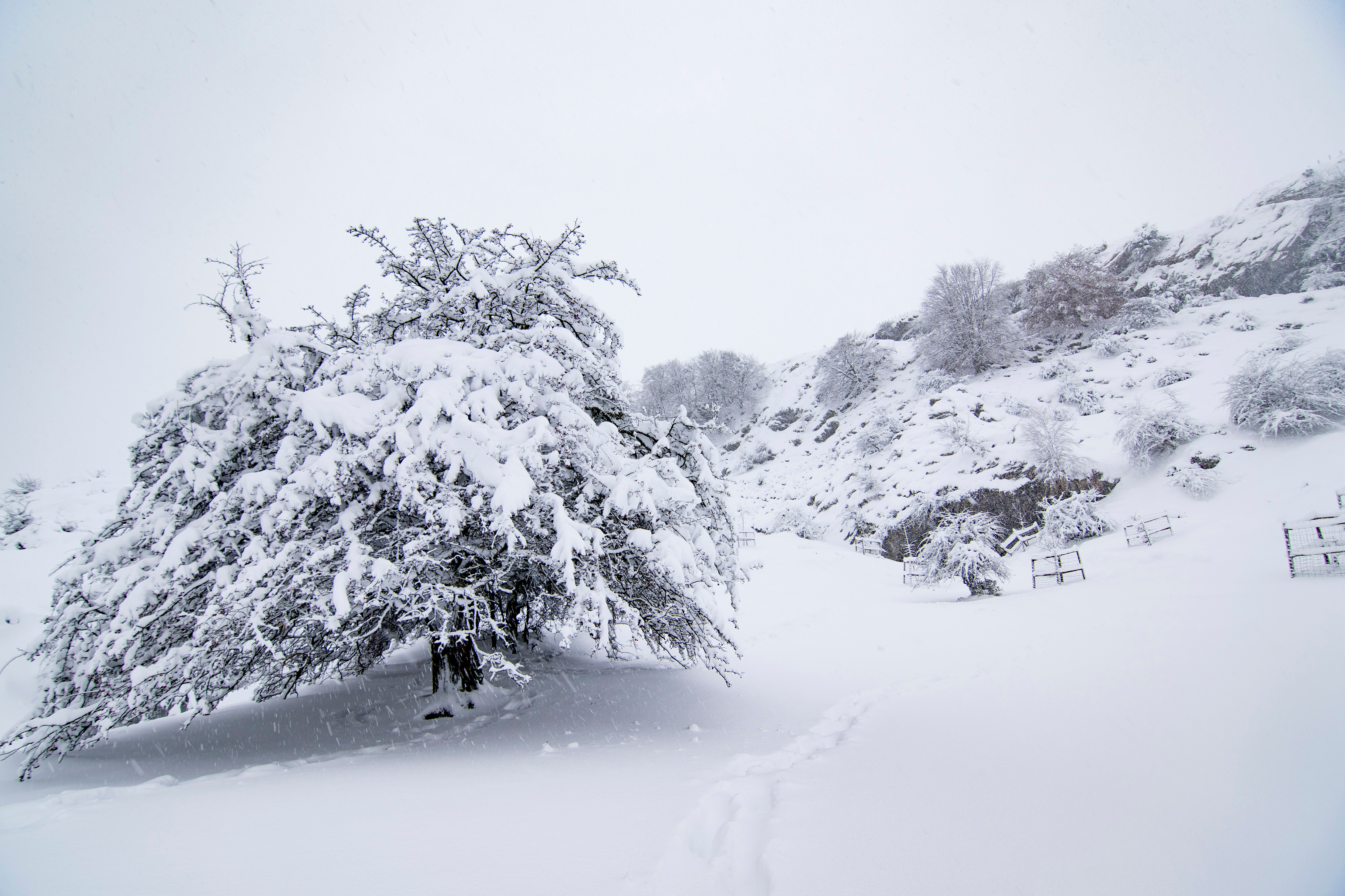 Nieve en el Gorbea