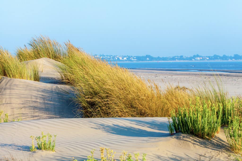 Playa de Doñana