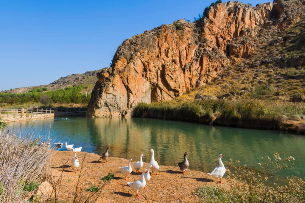 Pueblos de futbolistas. Laguna El Galayo Fuentealbilla Albacete