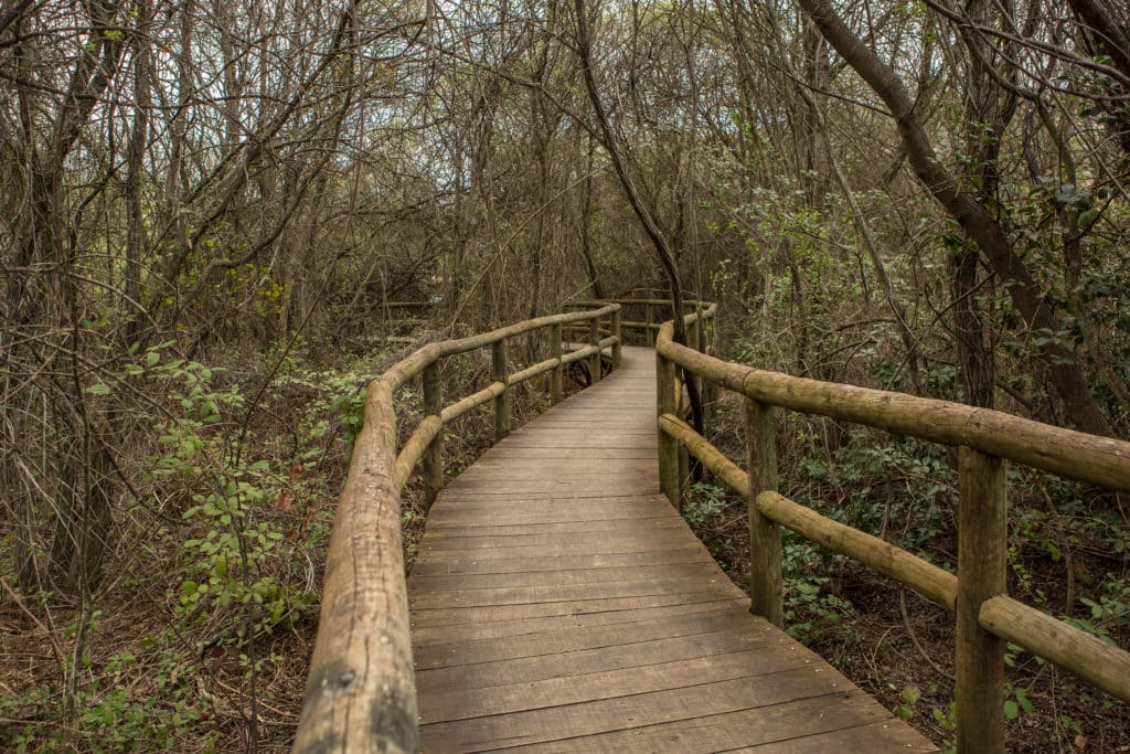 Parque Nacional de Cabañeros