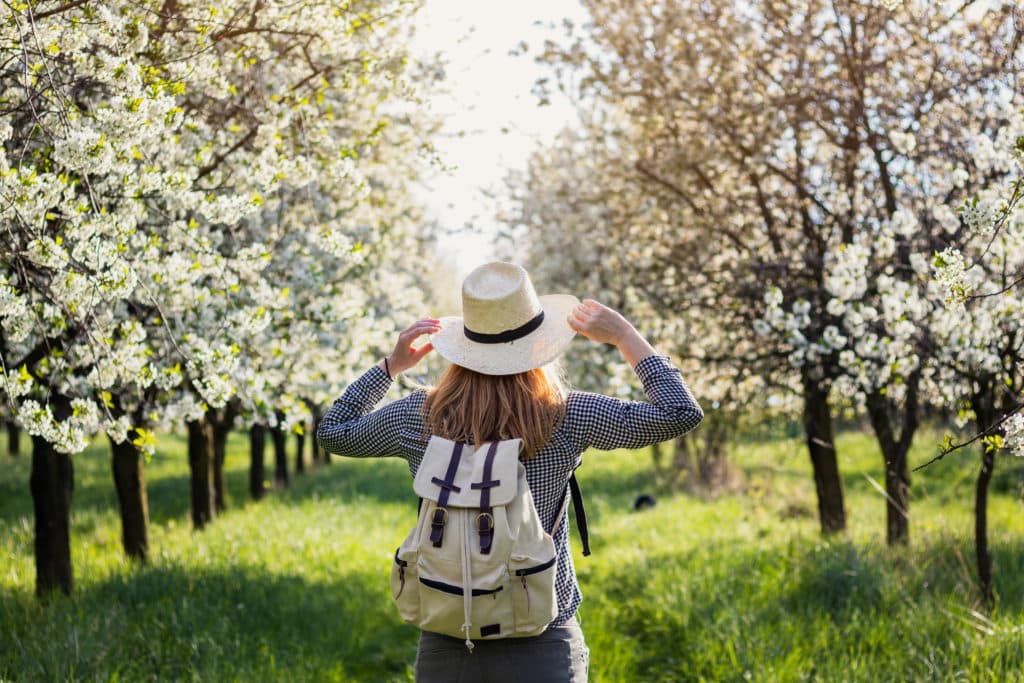 Primavera en España