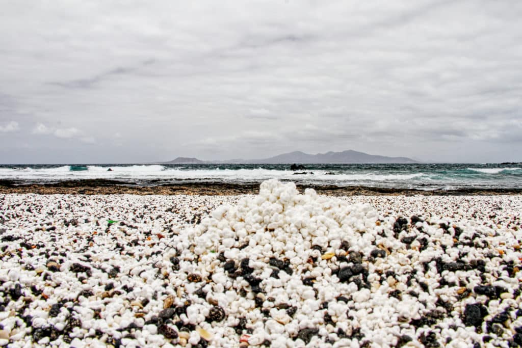 Playa de las palomitas de Fuerteventura