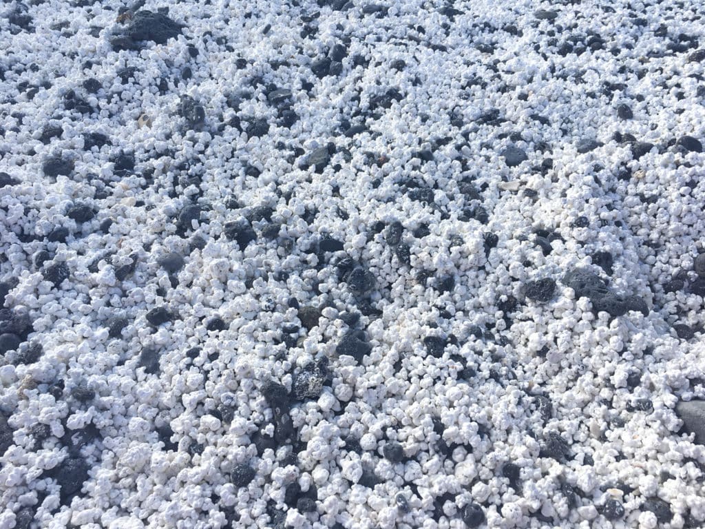 Playa de Corralejo, playa de las palomitas