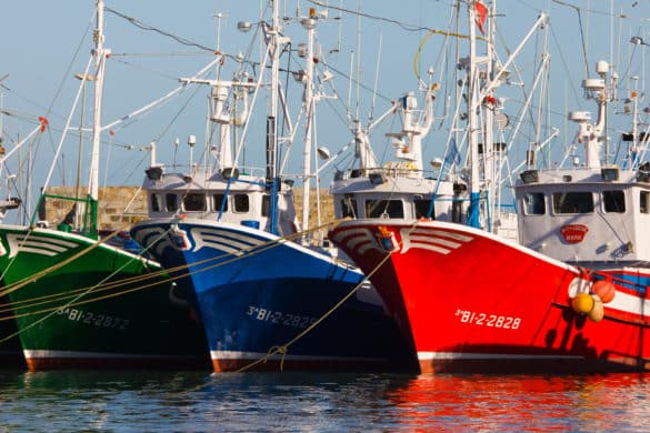 La matanza islandesa a los vascos debida al mal tiempo