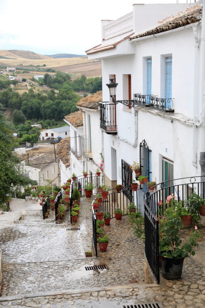 Peal de Becerro en noviembre