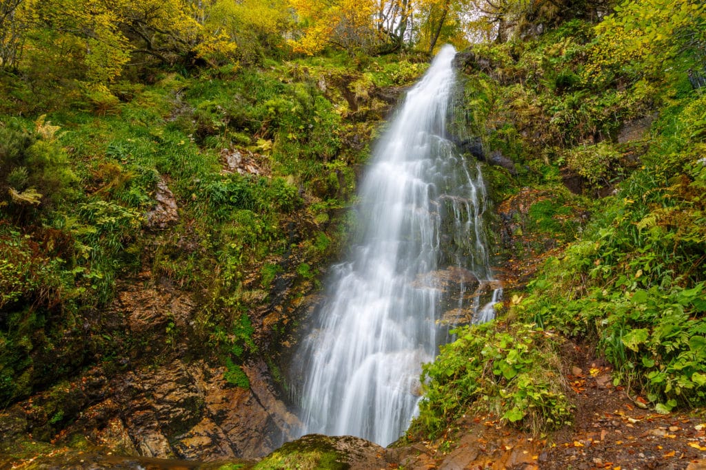 Hayedo de Montegrande y Cascada del Xiblu