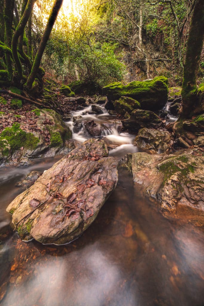 Sierra de Aracena