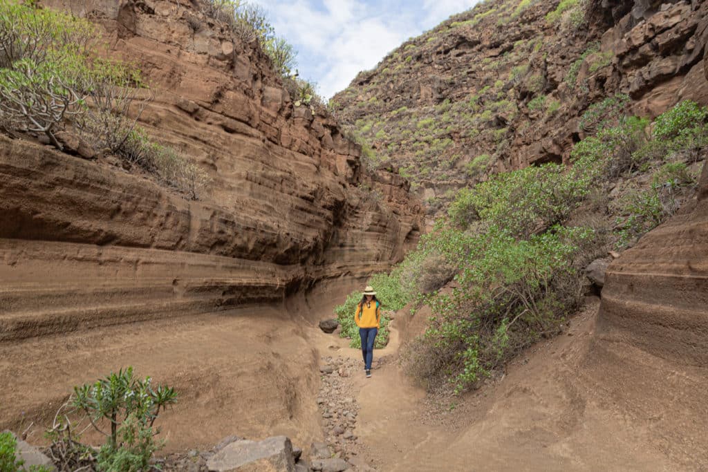 barranco de las vacas