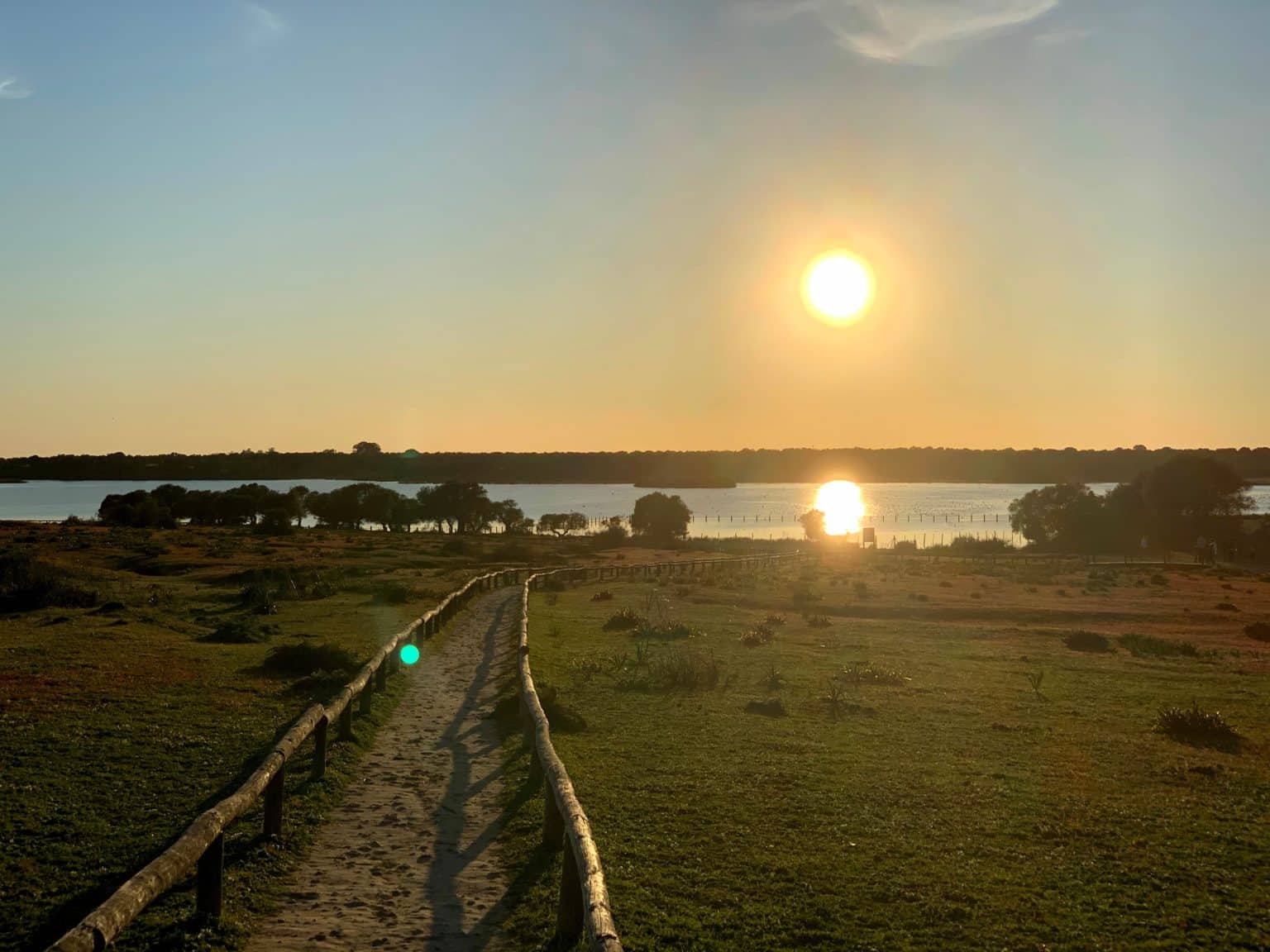 Ruta por la Dehesa de Abajo, hogar de las cigüeñas blancas