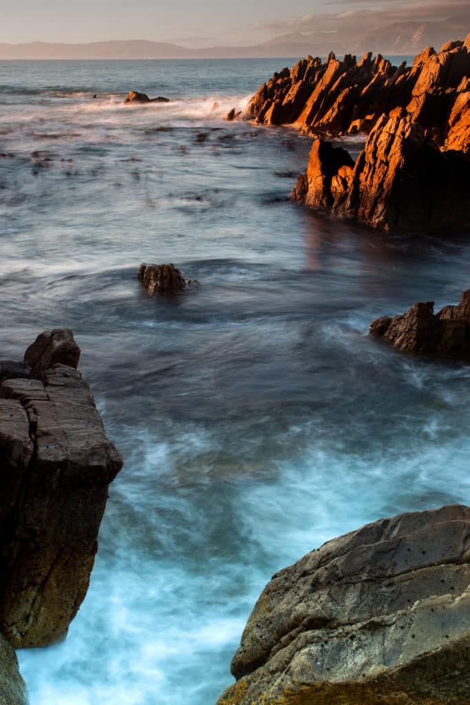 playas con bioluminiscencia