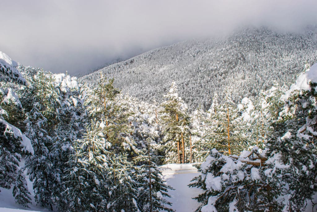 Navacerrada