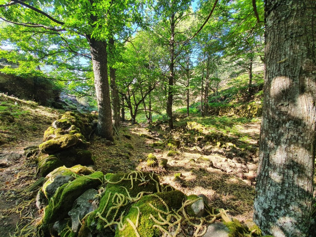 valle de Ambroz