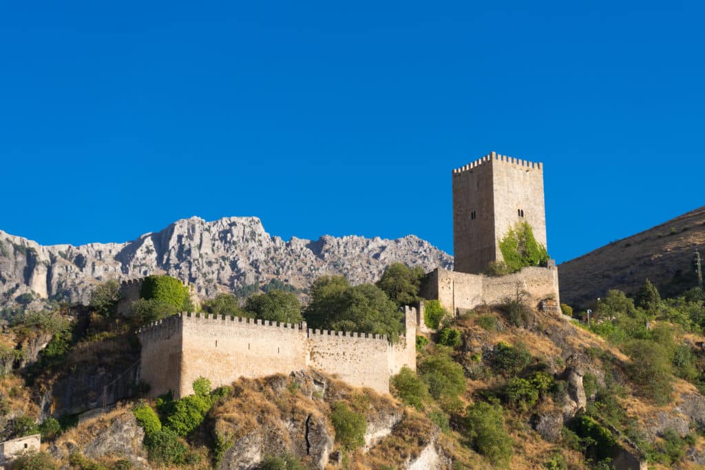 Castillo de la Yedra