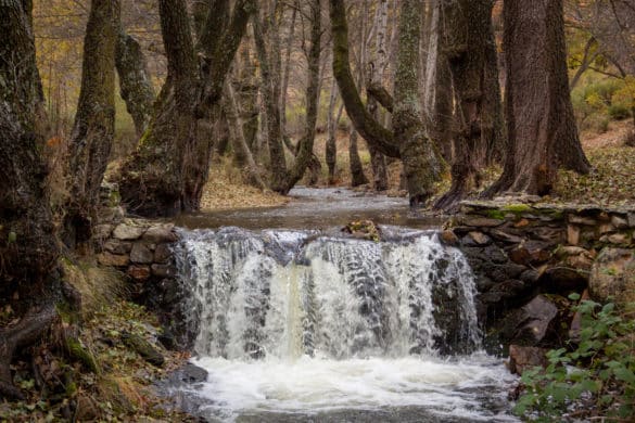 Los 10 mejores rincones de la Sierra Norte de Madrid