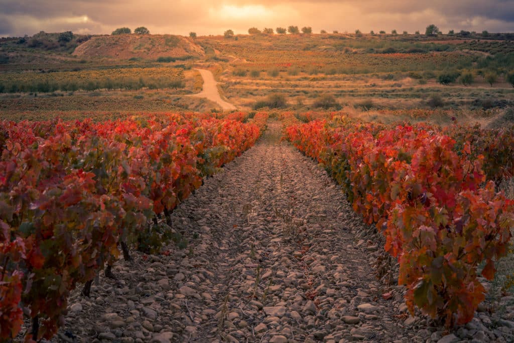 Planes en pareja: Senderos del Vino en La Rioja