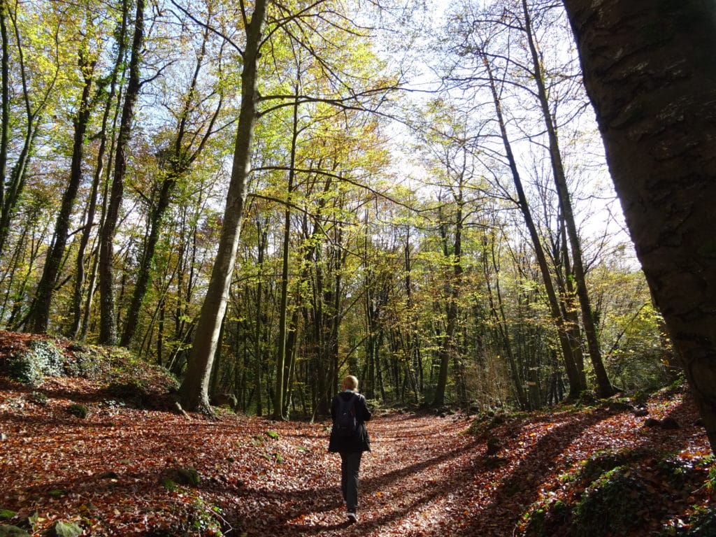 Películas en La Garrotxa