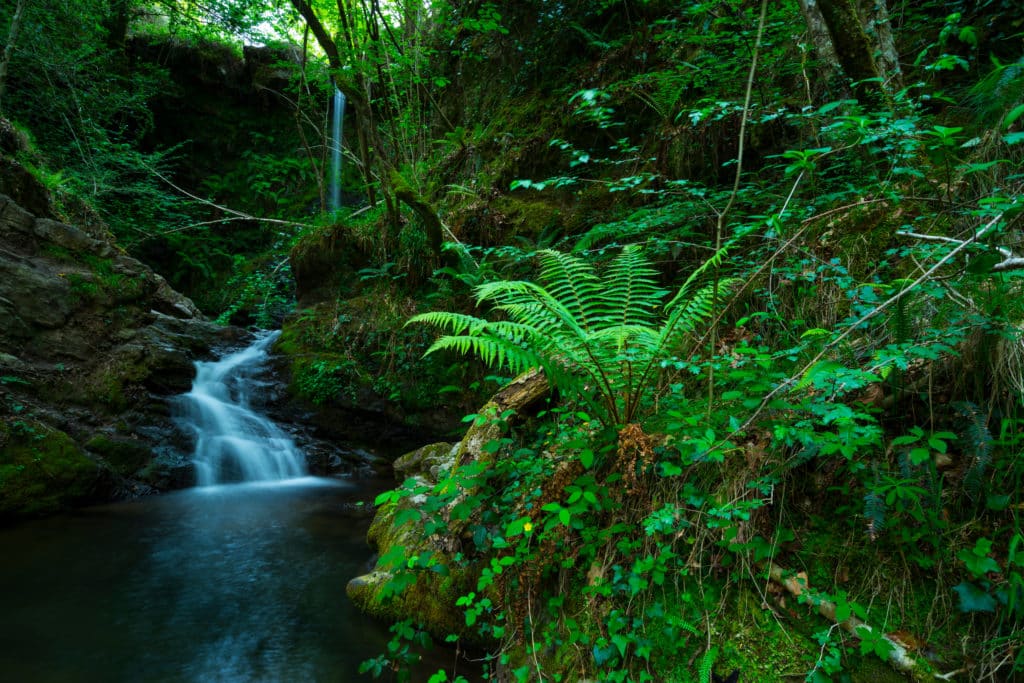 Cascadas de Lamiña