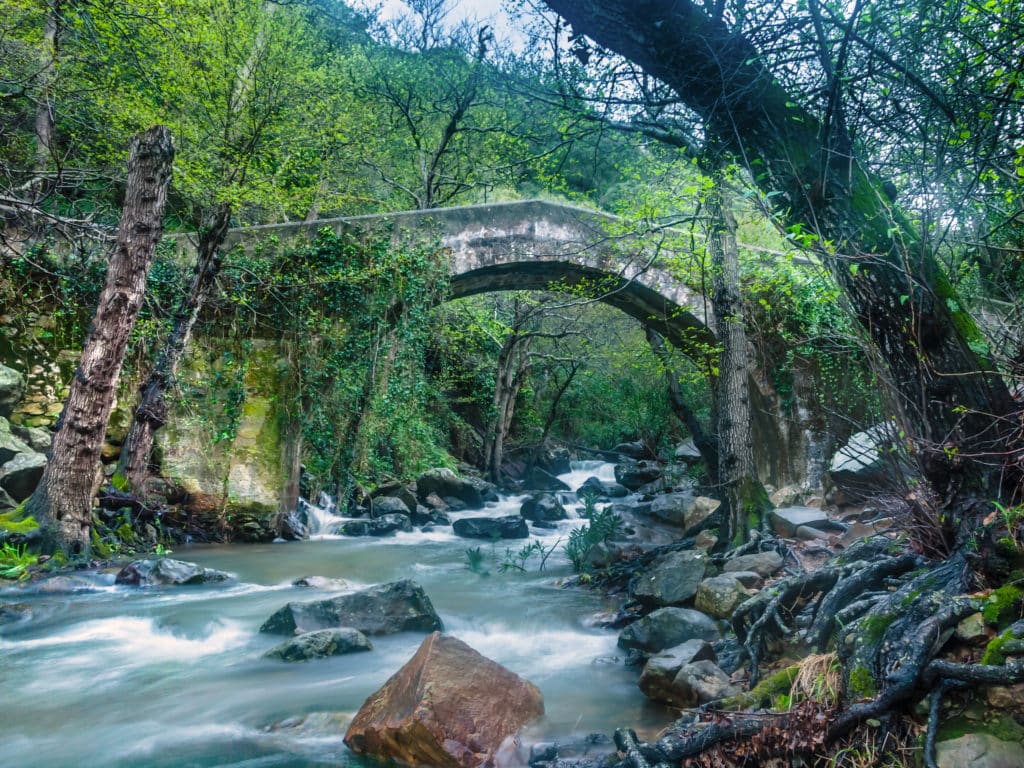 Ruta río de la Miel, una de las rutas por el Parque de Los Alcornocales