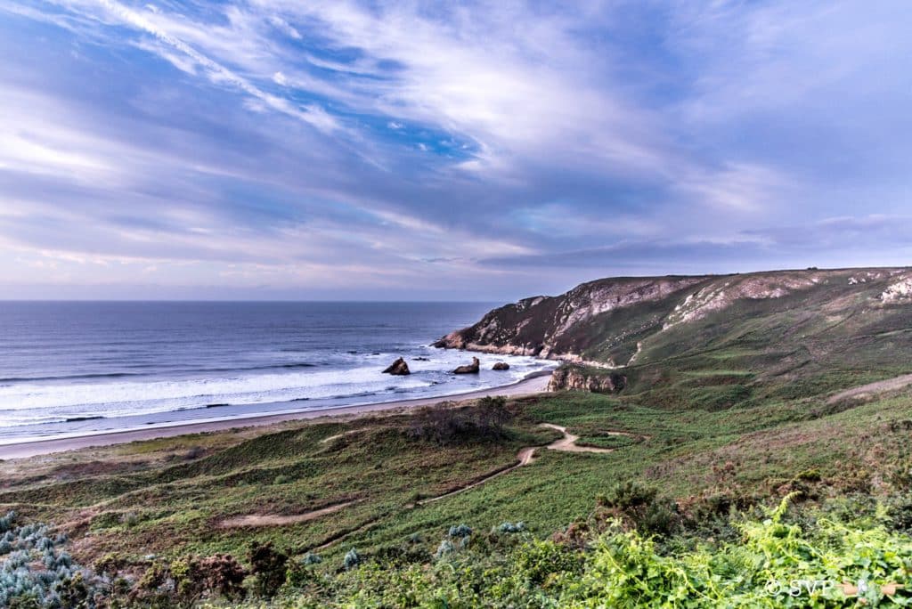 Playón de Bayas