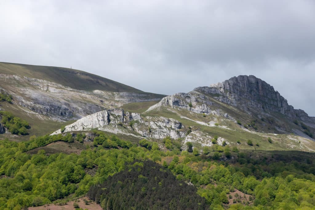 Gorbea